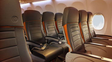 Gol aircraft leather seats